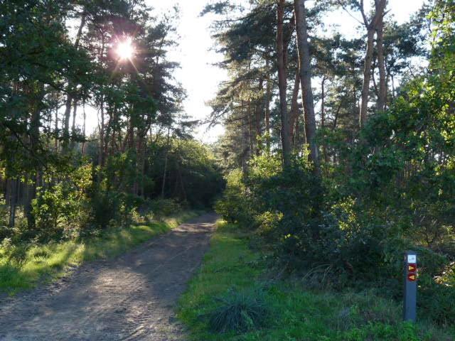 De Steegberg Holiday Home Севенум Экстерьер фото